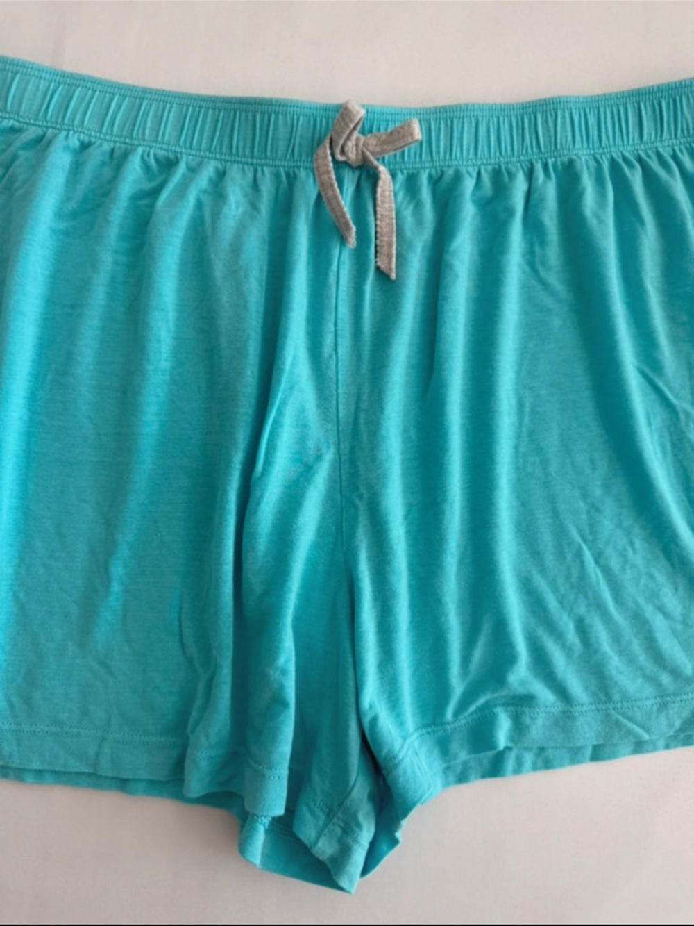 Jane and Bleecker Women’s Light Blue Comfy Sleep Shorts, Medium - Picture 3 of 9